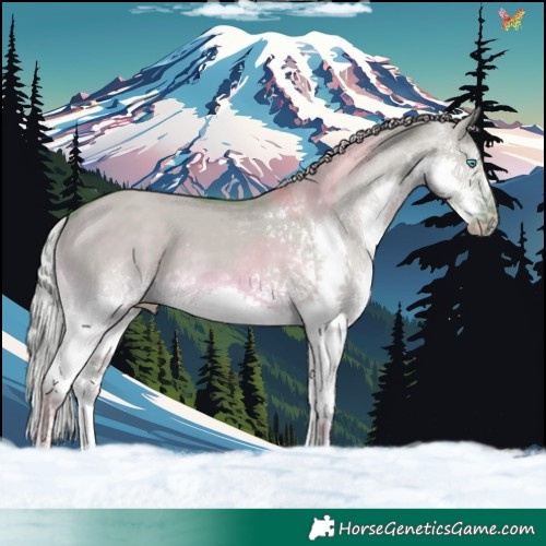 Horse Color:Watercolor Chocolate Palomino Dun Splash 