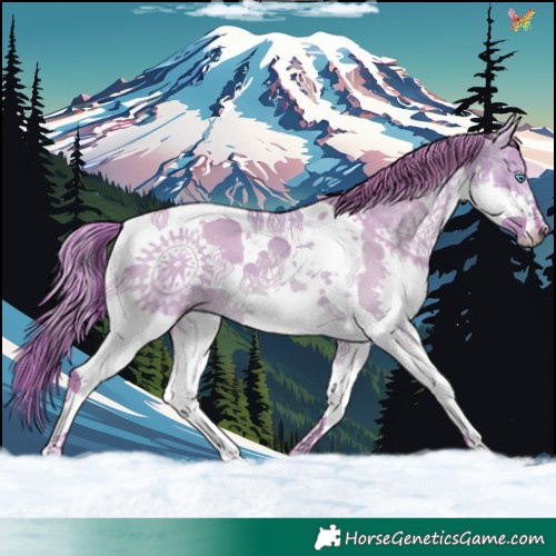 Horse Color:Watercolor Liver Red Dun Splash Tobiano 