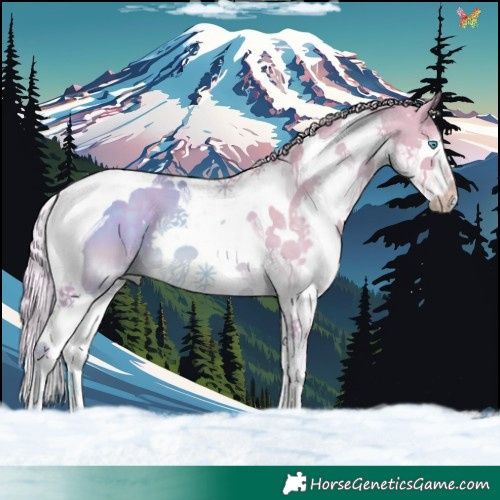 Horse Color:Watercolor Chocolate Palomino Dun Splash Tobiano 