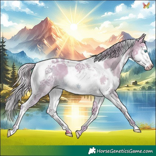 Horse Color:Watercolor Chocolate Palomino Dun Splash Tobiano 