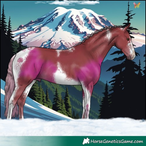 Horse Color:Watercolor Liver Chestnut Tobiano 