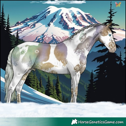 Horse Color:Watercolor Chocolate Palomino Splash Tobiano 