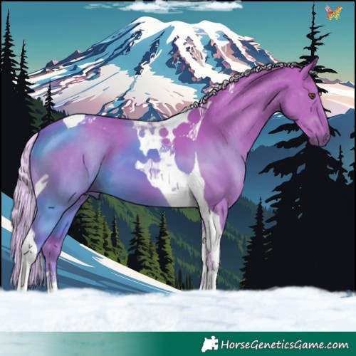 Horse Color:Watercolor Chocolate Palomino Tobiano 