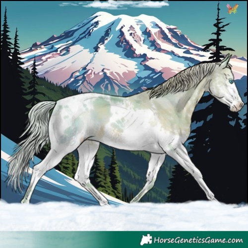 Horse Color:Watercolor Liver Chestnut Splash Tobiano 