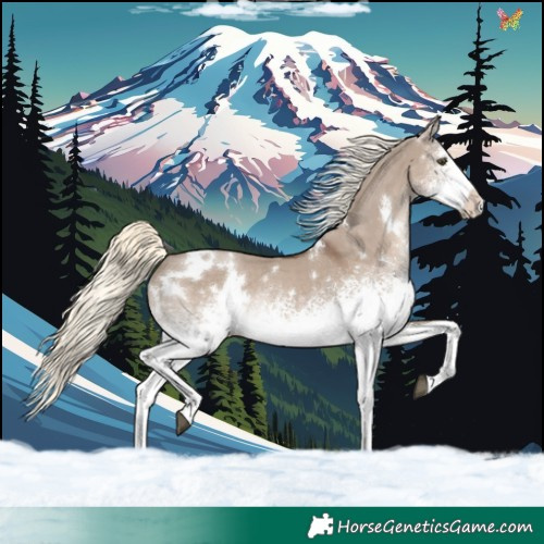 Horse Color:White Spotted Liver Red Dun Mushroom Rabicano 
