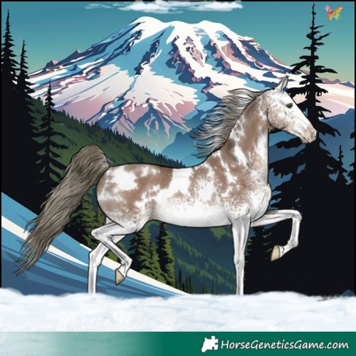 Horse Color:White Spotted Liver Red Dun Mushroom Rabicano 