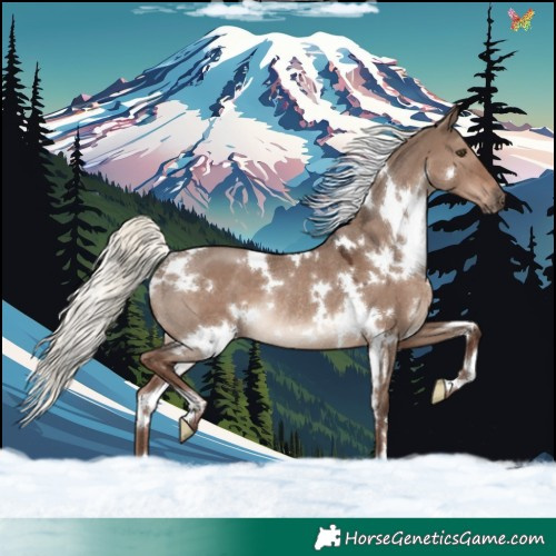 Horse Color:White Spotted Liver Red Dun Mushroom Rabicano