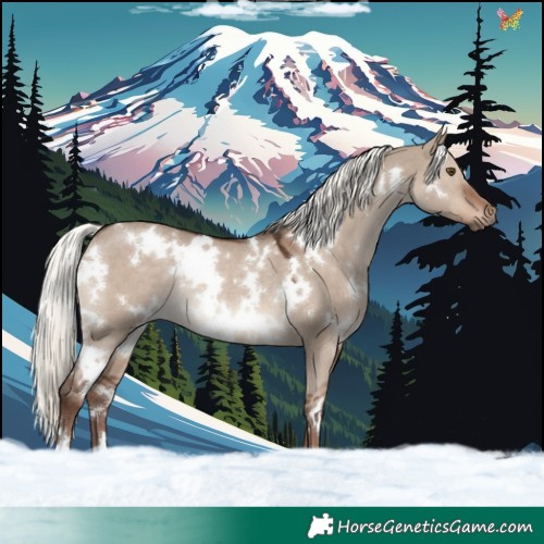 Horse Color:White Spotted Liver Red Dun Mushroom Rabicano 