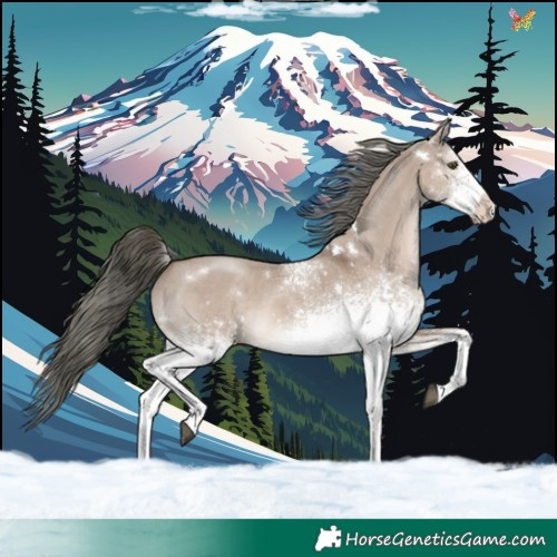 Horse Color:White Spotted Liver Red Dun Mushroom Rabicano 
