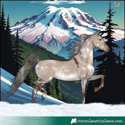 Horse Color:White Spotted Liver Red Dun Mushroom Rabicano 