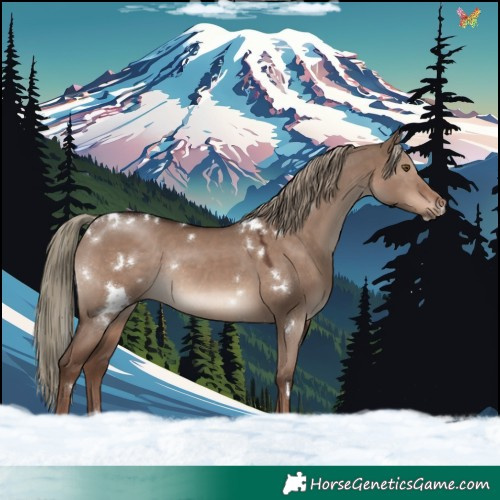 Horse Color:White Spotted Liver Red Dun Mushroom Rabicano 