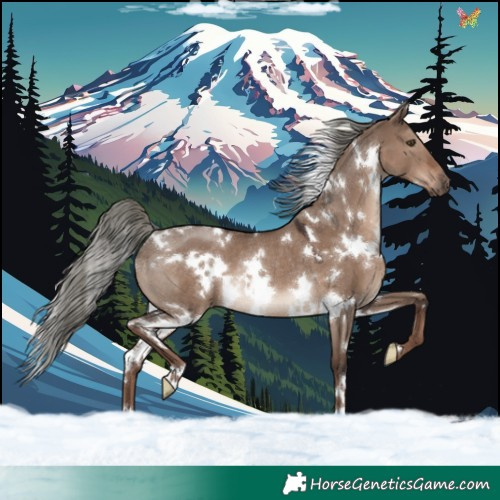 Horse Color:White Spotted Liver Red Dun Mushroom Rabicano 