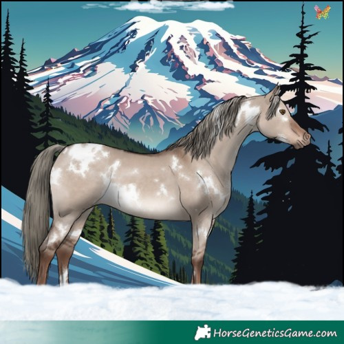 Horse Color:White Spotted Liver Red Dun Mushroom 