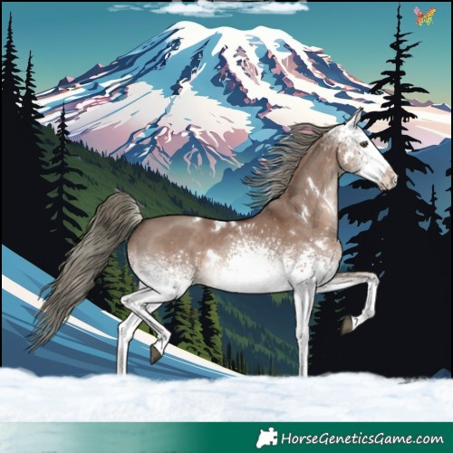 Horse Color:White Spotted Liver Red Dun Mushroom