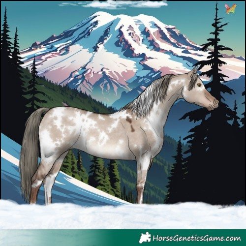 Horse Color:White Spotted Liver Red Dun Mushroom Rabicano