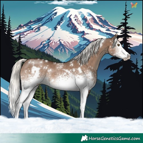 Horse Color:White Spotted Liver Red Dun Mushroom Rabicano 