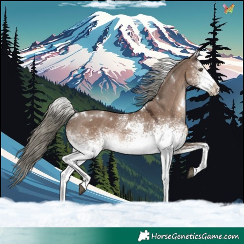 Horse Color:White Spotted Liver Red Dun Mushroom Rabicano 