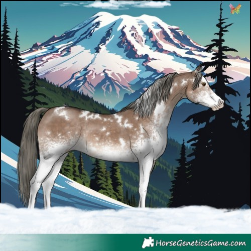 Horse Color:White Spotted Liver Red Dun Mushroom Rabicano 