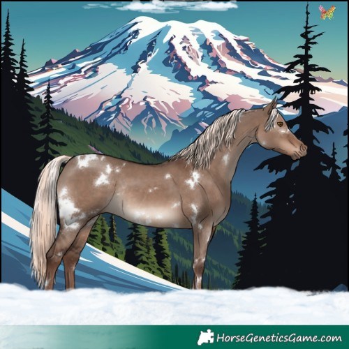 Horse Color:White Spotted Liver Red Dun Mushroom Rabicano 