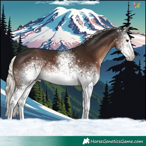Horse Color:White Spotted Liver Chestnut Mushroom