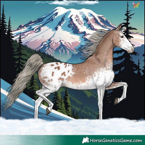 Horse Color:White Spotted Chestnut Mushroom Blanket 