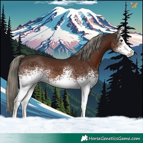 Horse Color:White Spotted Liver Chestnut Mushroom 