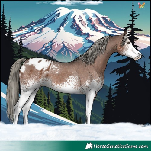 Horse Color:White Spotted Liver Chestnut Mushroom Varnish 