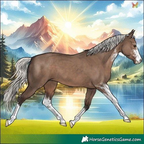 Horse Color:Liver Red Dun Mushroom Sabino 