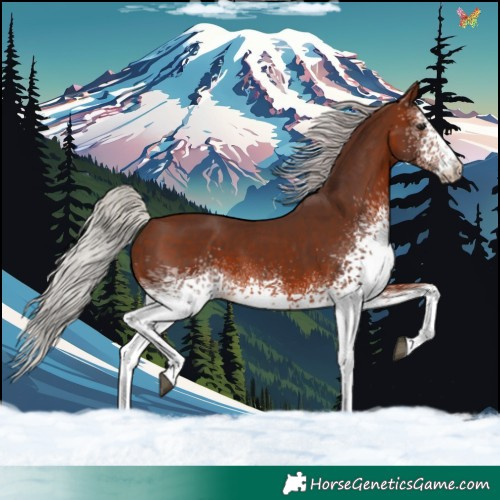 Horse Color:White Spotted Silver Brown Mushroom