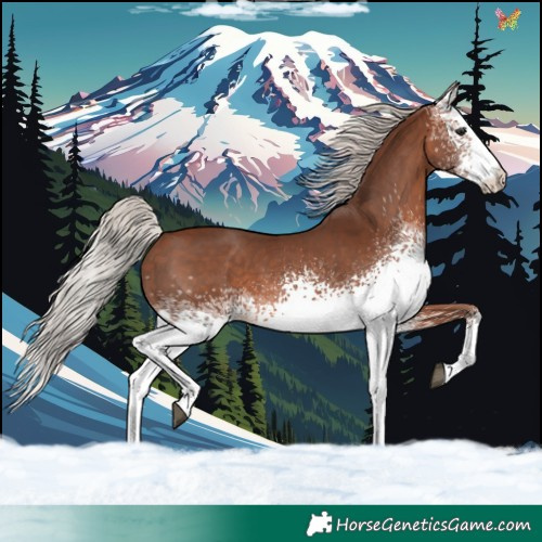 Horse Color:White Spotted Silver Brown Mushroom