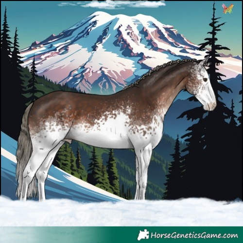 Horse Color:White Spotted Liver Chestnut Mushroom