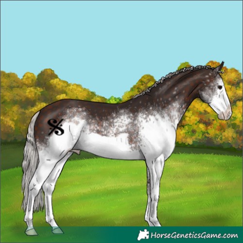 Horse Color:White Spotted Silver Bay Frame 