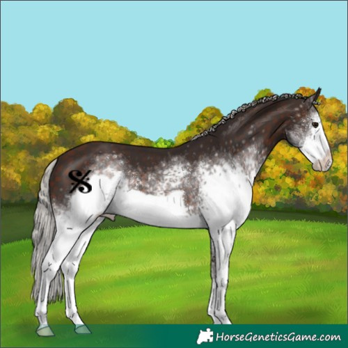 Horse Color:White Spotted Silver Bay Frame