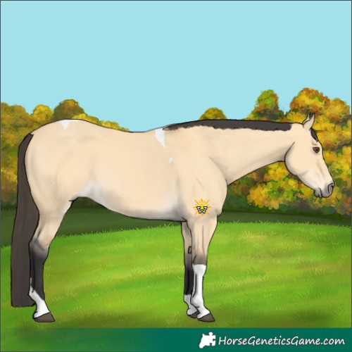 Horse Color:Buckskin Dun Tobiano