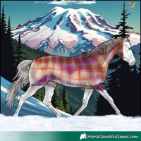 Horse Color:Plaid Silver Bay Onyx Splash