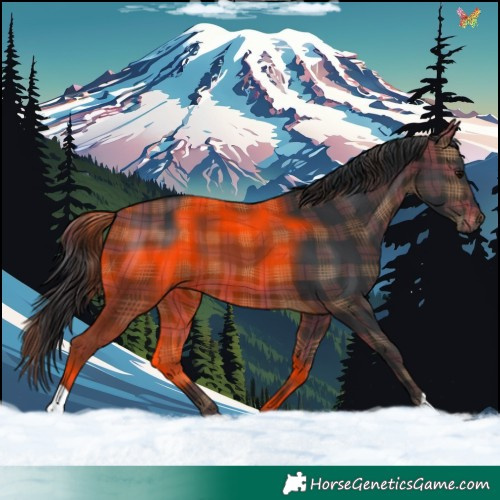 Horse Color:Plaid Brown