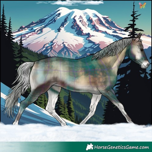 Horse Color:Plaid Silver Brown Onyx