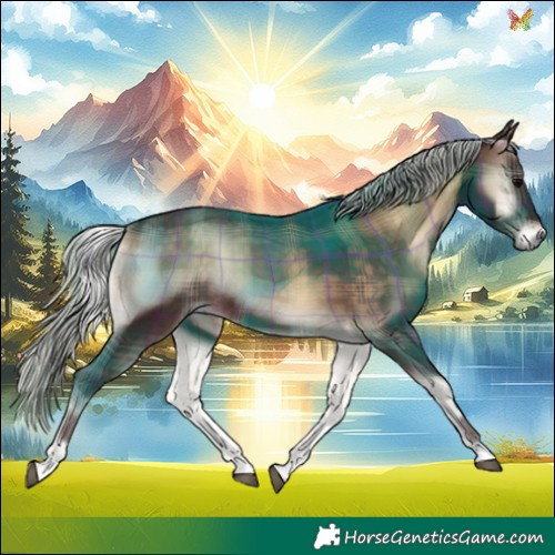 Horse Color:Plaid  Silver Brown Onyx 