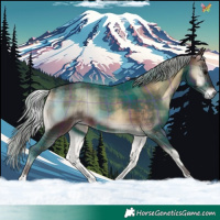 Horse Color:Plaid  Silver Brown Onyx 