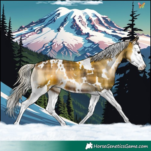 Horse Color:Plaid White Spotted Silver Brown Onyx Splash