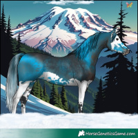 Horse Color:Brown Splash 