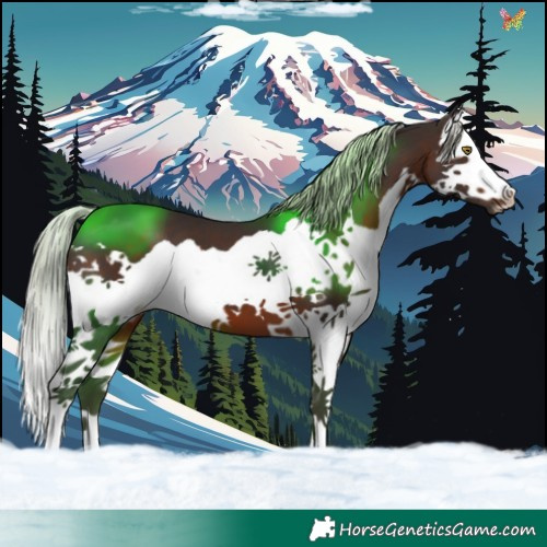 Horse Color:Silver Brown Splash 