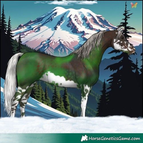 Horse Color:Silver Brown Splash