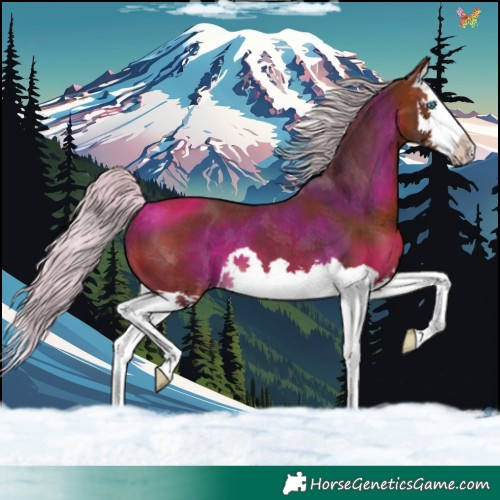 Horse Color:Silver Brown Splash 