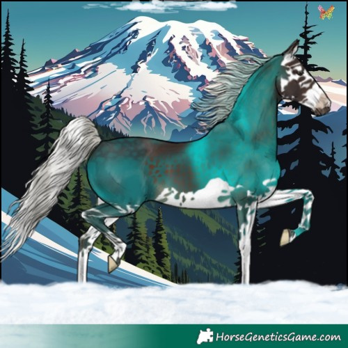 Horse Color:Silver Brown Splash 