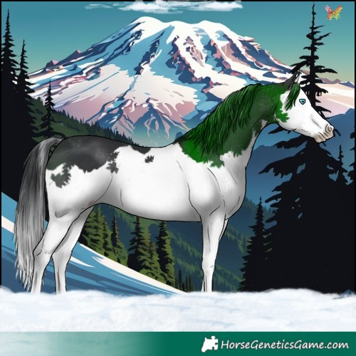 Horse Color:Brown Splash