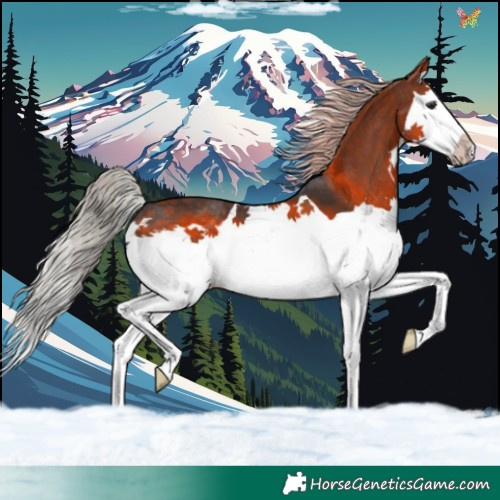 Horse Color:Silver Brown Splash 