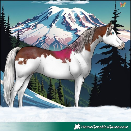 Horse Color:Silver Brown Splash 