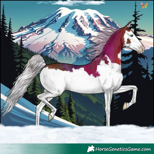 Horse Color:Silver Brown Splash 