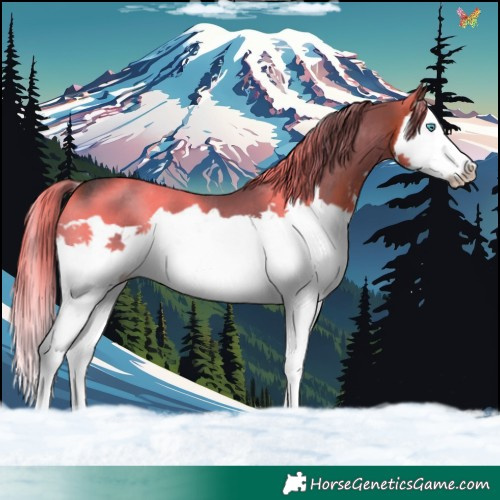 Horse Color:Brown Splash 